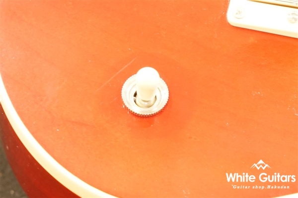 Les Paul Traditional Plain Top